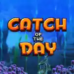 Catch of the Day